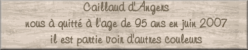 caillaud sous titre