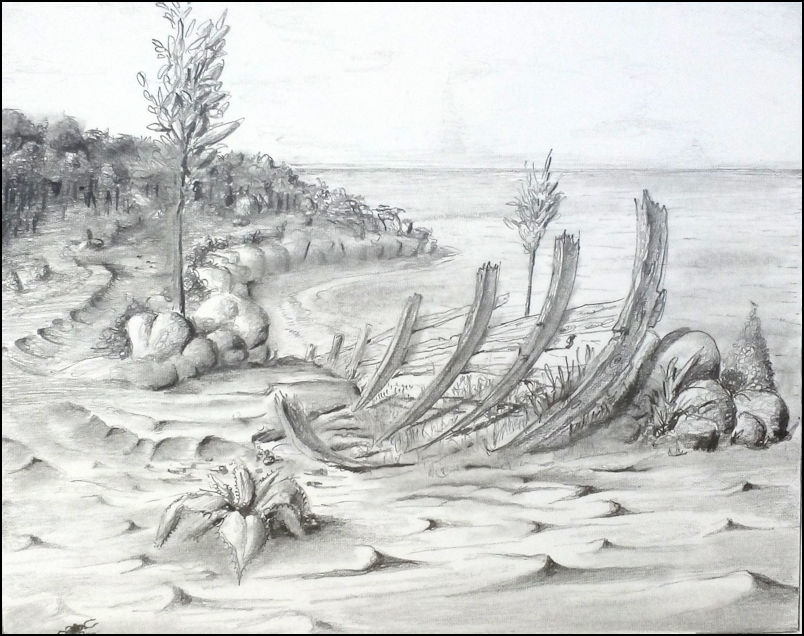 barque perdu
