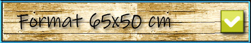format 65