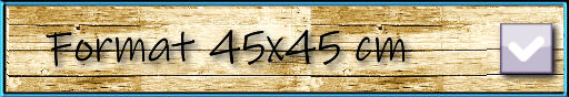 format 45