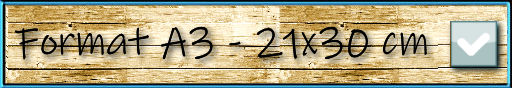 format A3