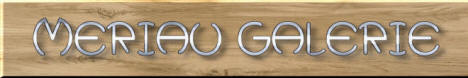 Meriau galery