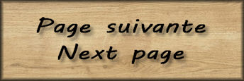 page suivante