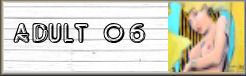 adult06