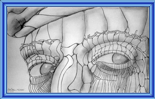 les yeux de Dali 
